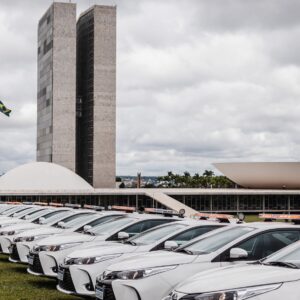 Gestão de Projetos, Orçamento, Licitação e Logística na Segurança Pública