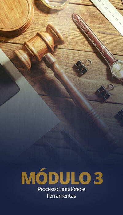 Modalidades de licitação, contratações diretas, Sistema de Registro de Preços, credenciamento, PMI, análise de editais, impugnações e oficina prática de pregão eletrônico.